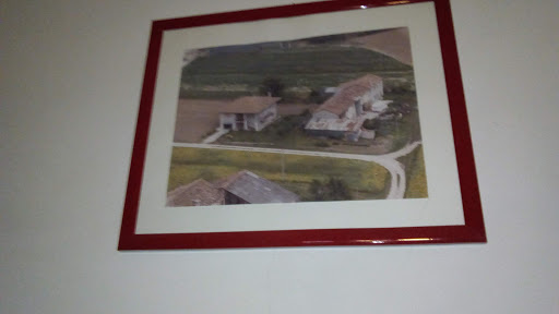 Cappellaro Luca - Thumbnail