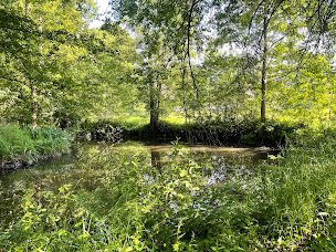 Photo n°4 de La Française Immobilière Thorigné-Fouillard - LFI à Thorigné-Fouillard (Agence immobilière)