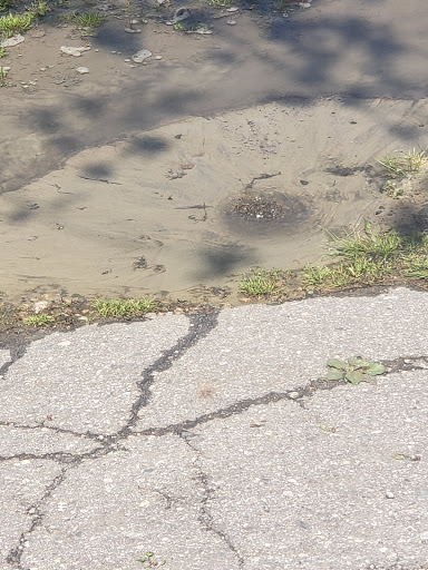 Andrews Estates Mobile Home Park - Thumbnail
