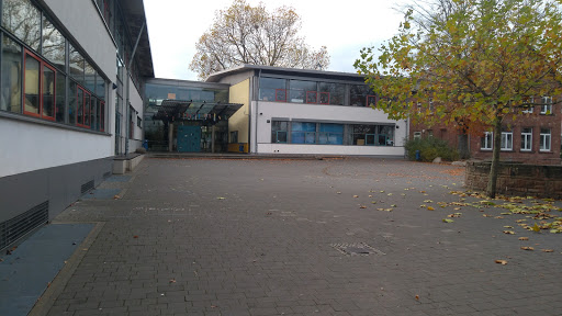 Robinson-Schule - Visual