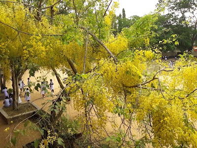 Photos of Katana Vidyaloka Maha Vidyalaya