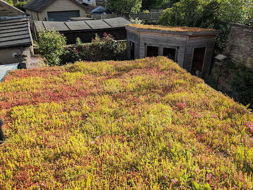 Living Roofs UK - Thumbnail