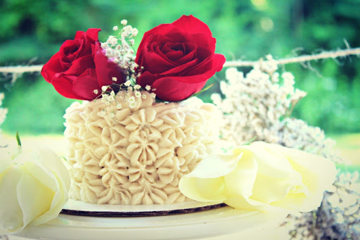 Christina Lynn Photography - Thumbnail