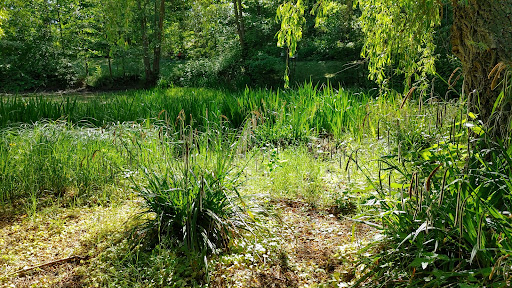 Messelpark - Visual