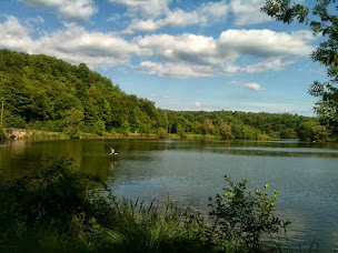 Photo n°54 de Restaurant Le Pavillon Bleu à Villey-Saint-Étienne (Restaurant français)
