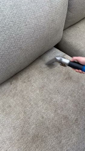 Comments and reviews of Carpetbird