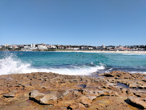 Bondi Murals - Thumbnail