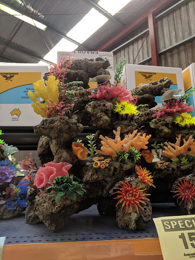 Petstock Country Launceston - Thumbnail