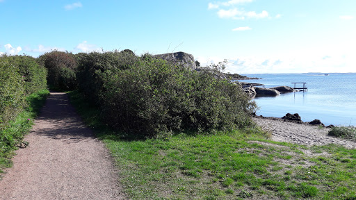 Halse Långe - Thumbnail
