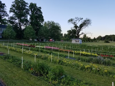 Fresh Cut Farm