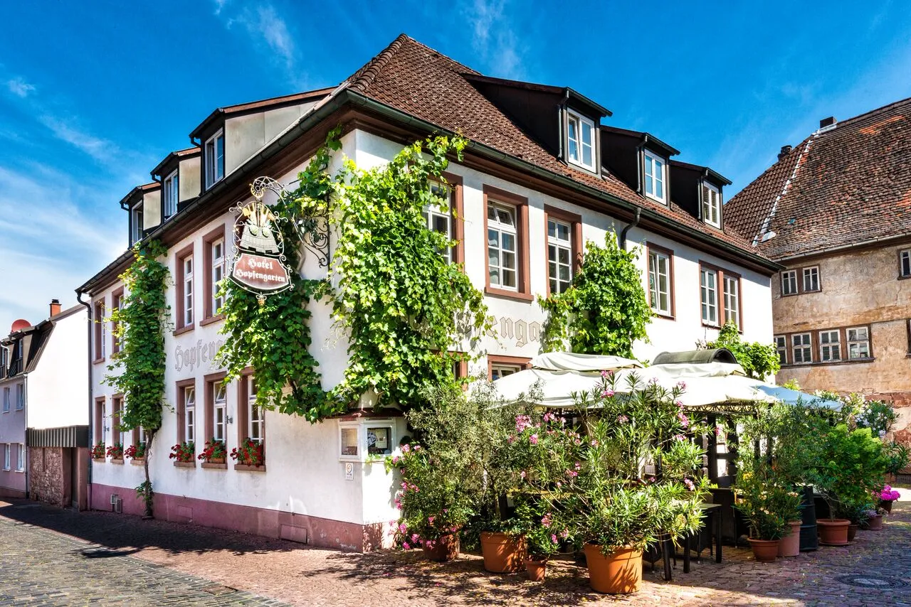 Flair Hotel Hopfengarten