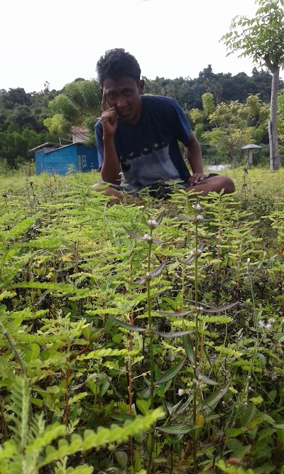 Photos of Kajoa Island