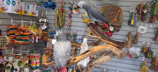 BiZee Bird Store Gallery - United States
