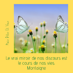 Photo n°23 de Centre de Méditation Mais Dites Et Vous à Espira-de-l'Agly (Programme de bien-être)