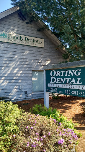 Orting Dental Center - Visual