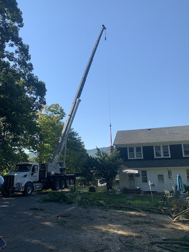 The Tree Specialist