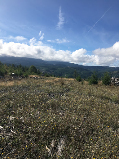Stayton Area Rotary - Thumbnail