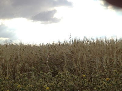 Photos of Extensya