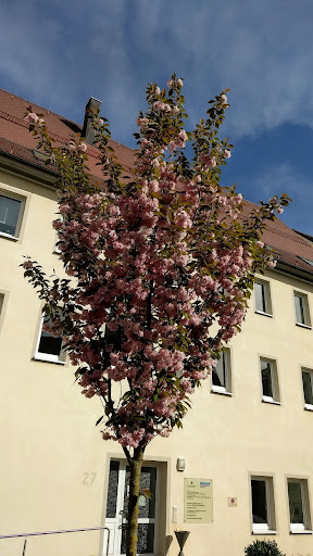 Ev. Kirchenpflege Balingen - Thumbnail