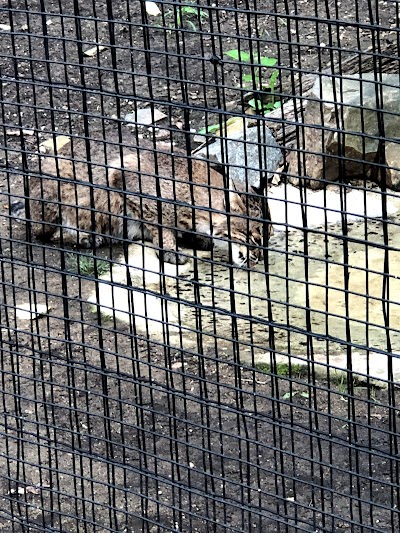 Brandywine Zoo Parking