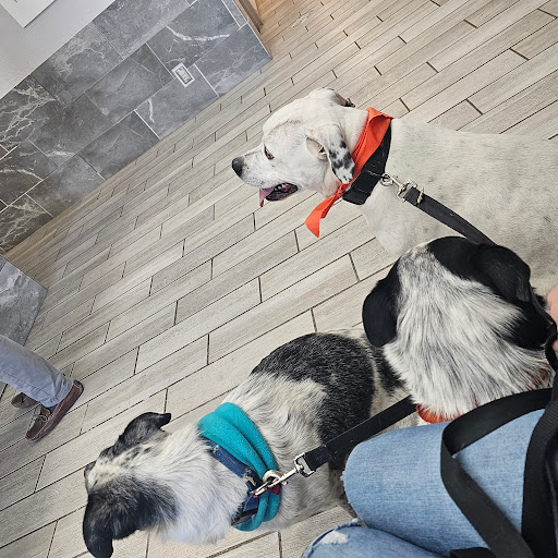Wheatland Animal Clinic - Thumbnail