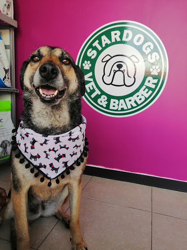Stardogs Veterinaria & Barber - Thumbnail