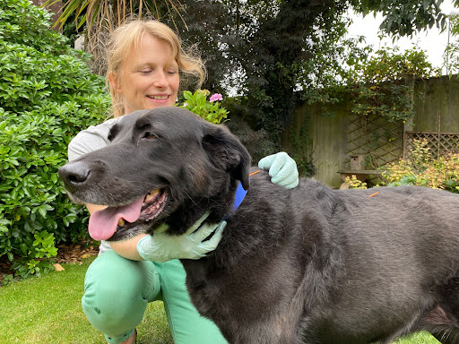 PetTherapy Veterinary Acupuncture & Integrated Pain Management