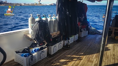 Photos of Hurghada Diving - Scuba Diving Center In Hurghada, Course PADI&rlm;