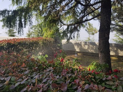 Photos of Saydet el Hosn - Lady of the Fortress سيدة الحصن