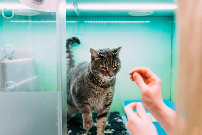 Comments and reviews of Begbroke Veterinary Surgery