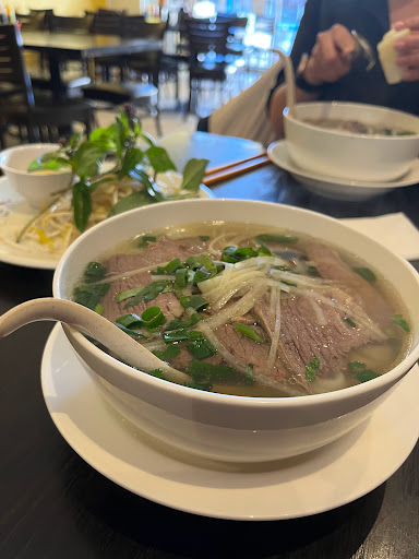 Lam Lam - Visual