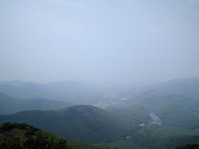 Photos of Bamboo Sea Scenic Spot