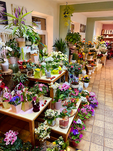 Blumenfreund Pause - Thumbnail