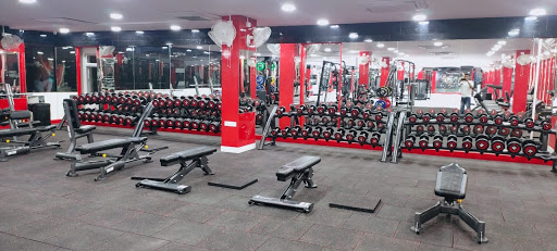 Life Fitness 24x7