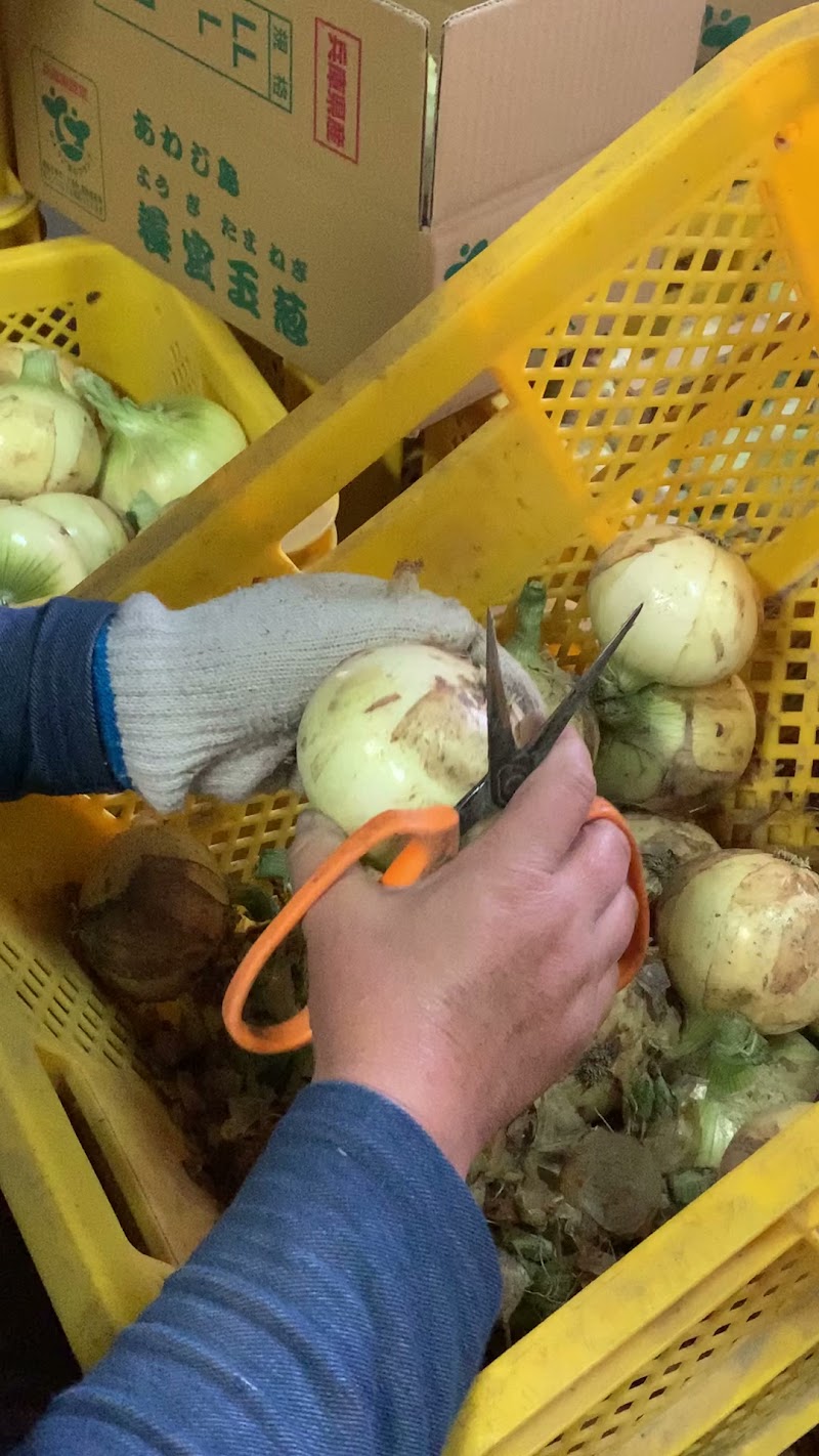 まいぷれ淡路島編集部