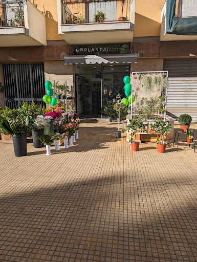 GPLANTA - Visual