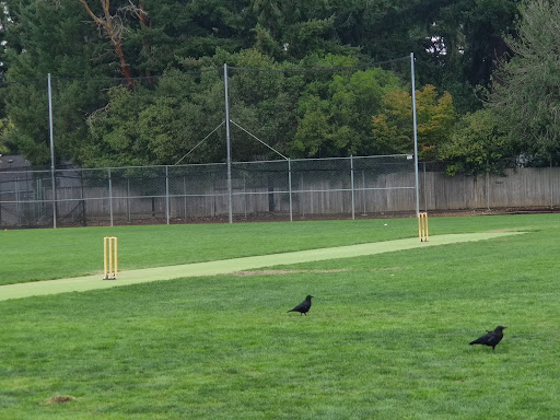 Robinswood Cricket Field - Thumbnail
