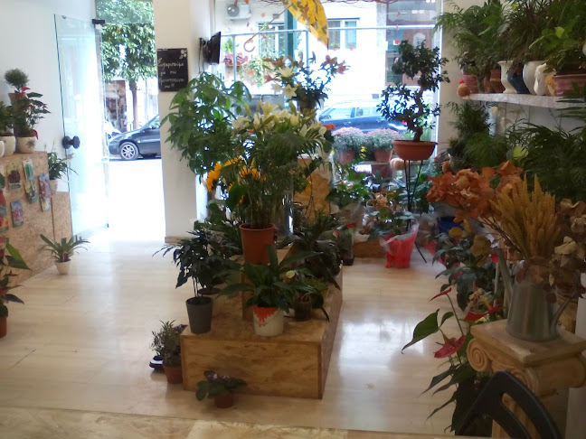 Comentarii opinii despre Unique Flowers