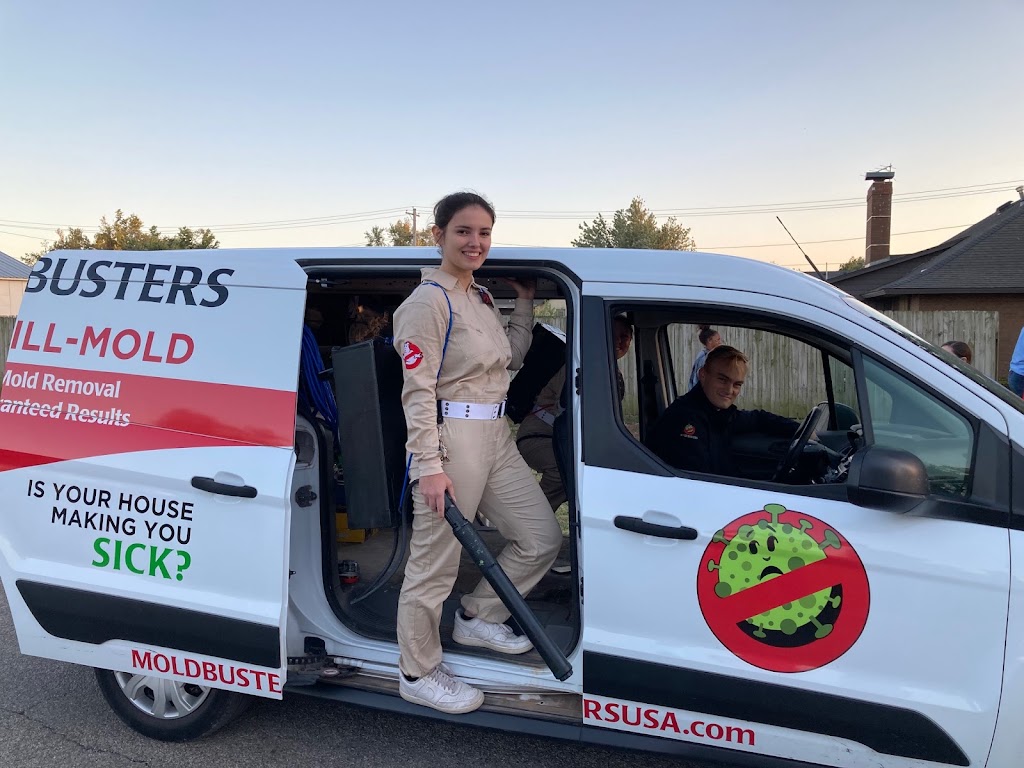 Mold Busters Enid photo