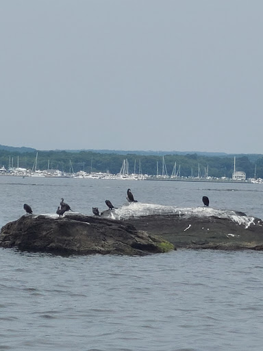 Goddard Park Beach Trail Head - Thumbnail