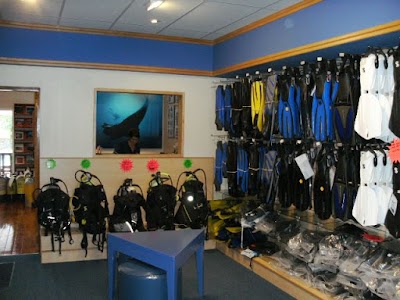 Photos of Pro Dive