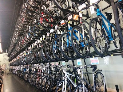 Photos of Bert's Bikes & Fitness