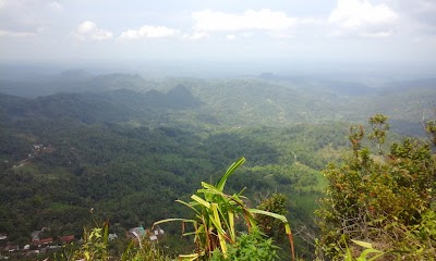 Photos of Gunung Parang