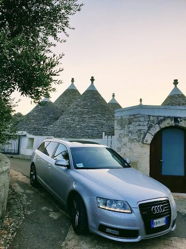 Cipriani Go S.r.l. - Transfer service - Thumbnail