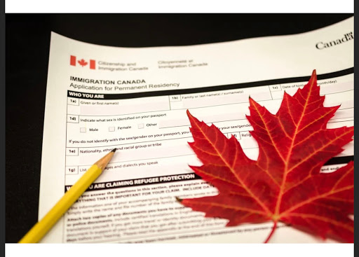 Shuter Consulting Immigration Services - Thumbnail