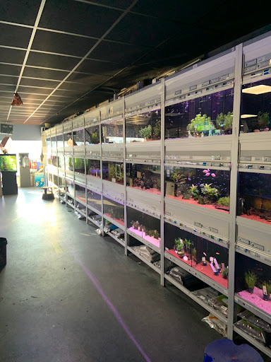 Aquariumexpert Zoetermeer Gallery - Netherlands