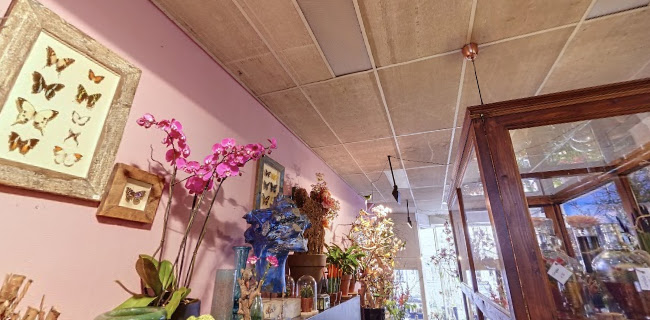 TEUNIS VEENEMA bloem|sier|kunst - Amsterdam