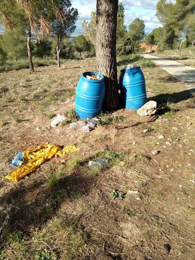 Serretella - Visual