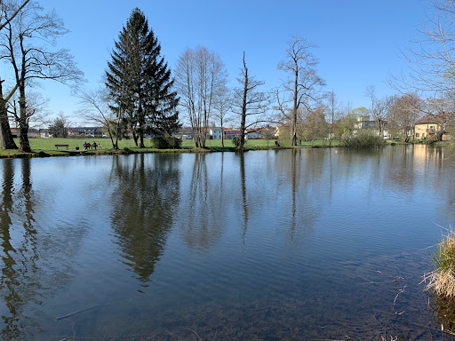 Beierbachsee - Thumbnail