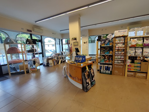 La Maison du Chat shop - Thumbnail